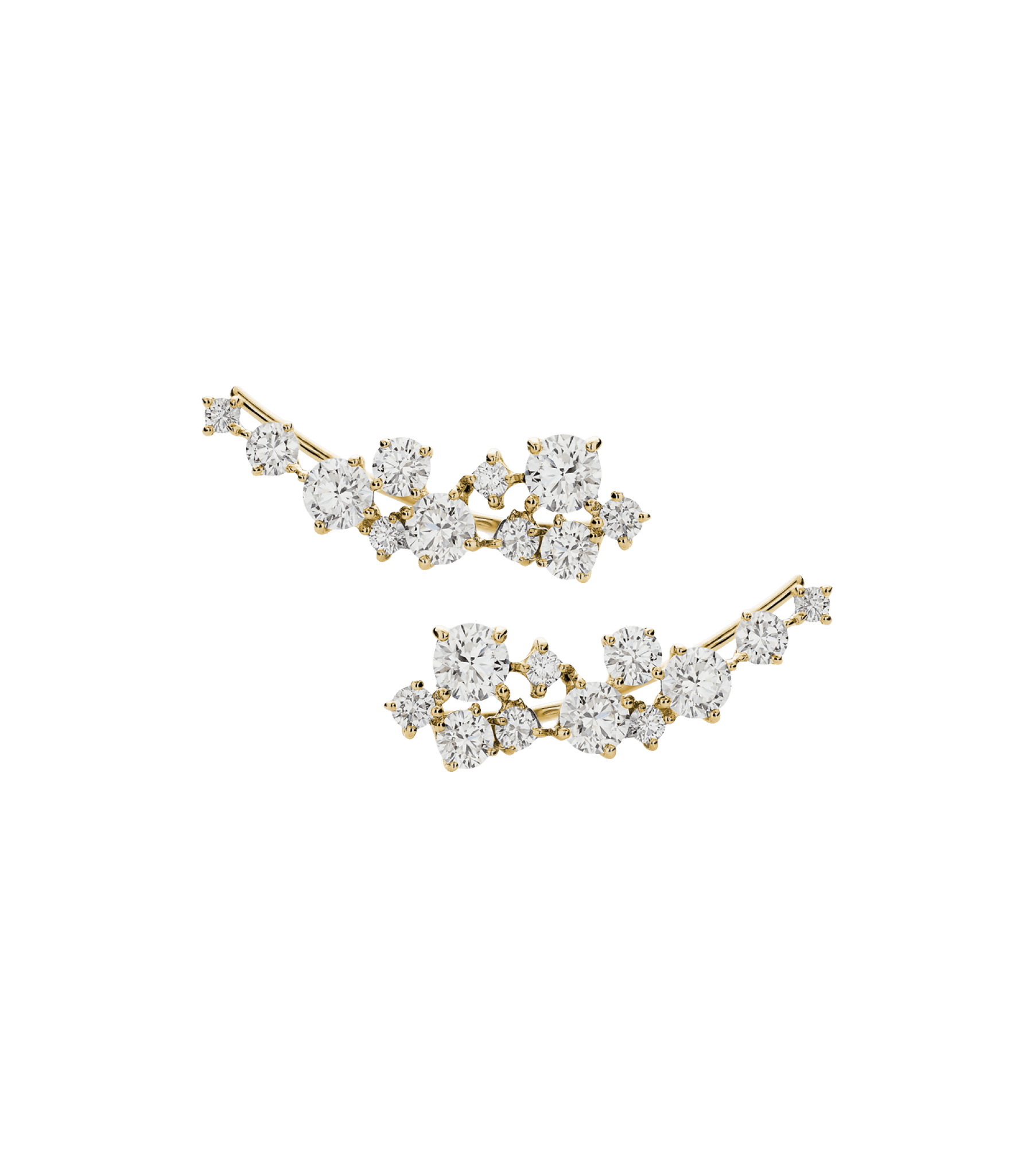 Cassiopeia ørebøjle