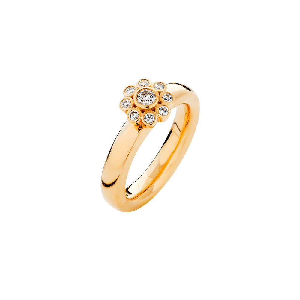 Alexandria ring, midi