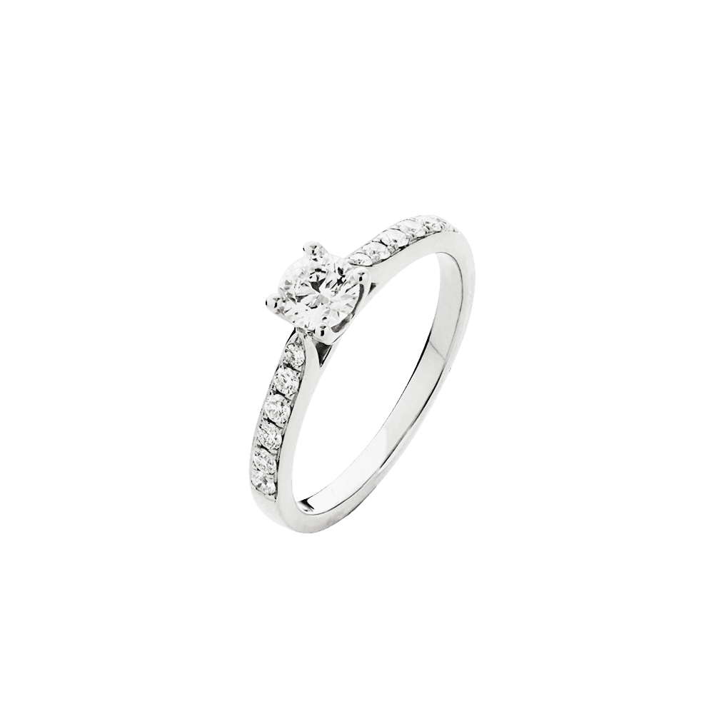 Solitaire ring hvidguld