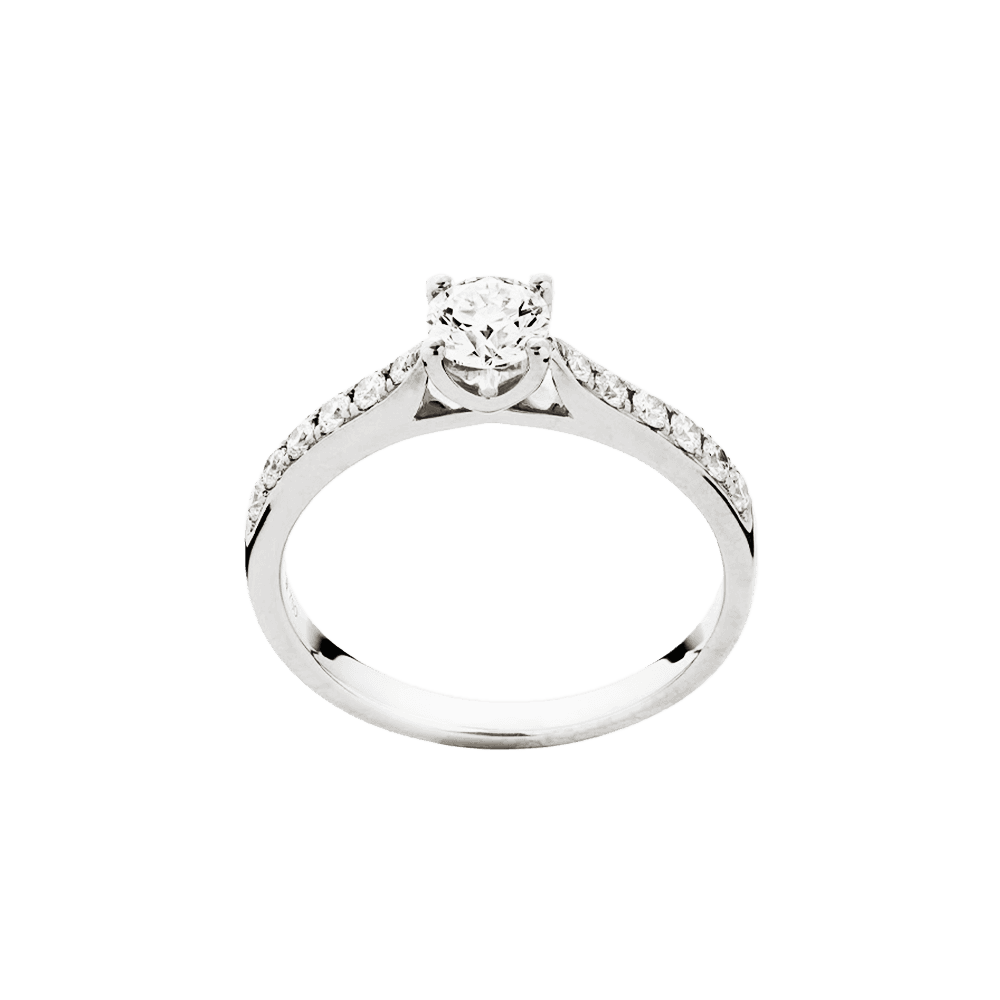 Solitaire ring hvidguld
